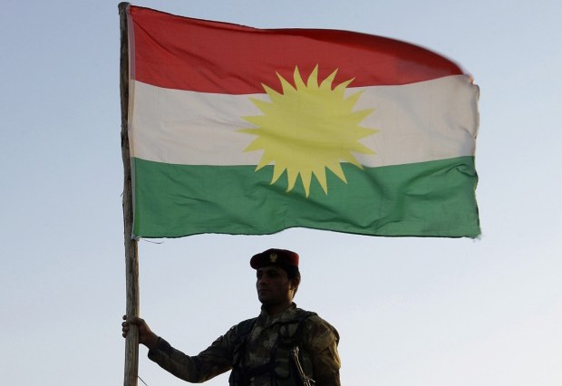 File photo of a Kurdish Peshmerga soldier holding a Kurdistan flag from August 6, 2012. REUTERS/Azad Lashkari/Files)