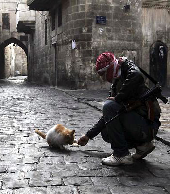 A Free Syrian Army fighter feeds a cat in the old city of Aleppo. (R)