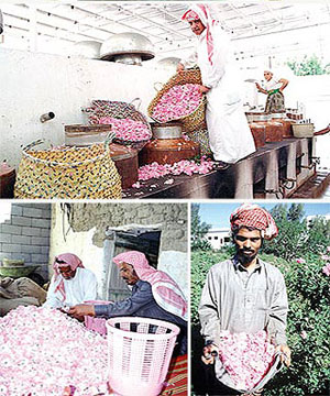 The Scent of Taif