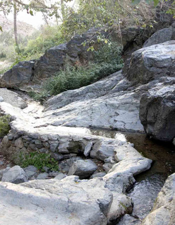 Exploring Al Baha