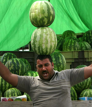 Palestinian fruit vendor Abu Haloom, balances two large watermelons on his head in an effort to attract customers at his stand in the West Bank town of Ramallah, July 7, 2006 (AP)