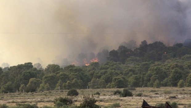 Smoke rises in the area around Mount Chaambi, western Tunisia August 2, 2013. (Reuters/Stringer)