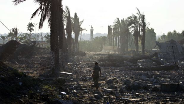 A zookeeper inspects the damage at the Bisan City tourist village zoo, in Beit Hanun on August 14, 2014. (AFP Photos)