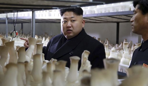 North Korean leader Kim Jong Un gives field guidance to the newly-built Pyongyang City Mushroom Farm in this undated photo released by North Korea's Korean Central News Agency (KCNA) in Pyongyang January 10, 2015. (Reuters)