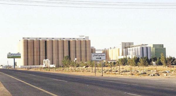 Saudi Arabia: SAGO and PIF Join in Review for Privatization 