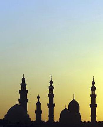 Egypt Islamists say charter passed in referendum