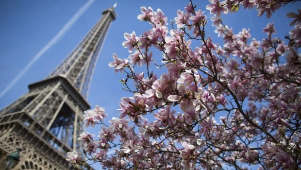 Economic Agreements on Agenda of Saudi-French Business Council in Paris
