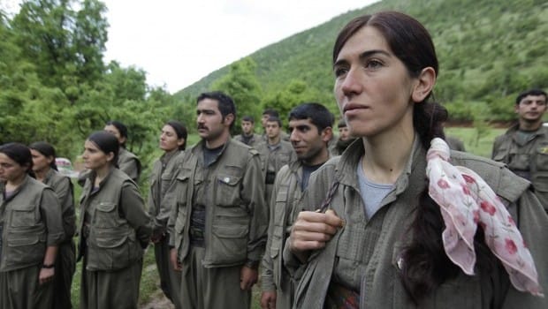 The Turkish Model