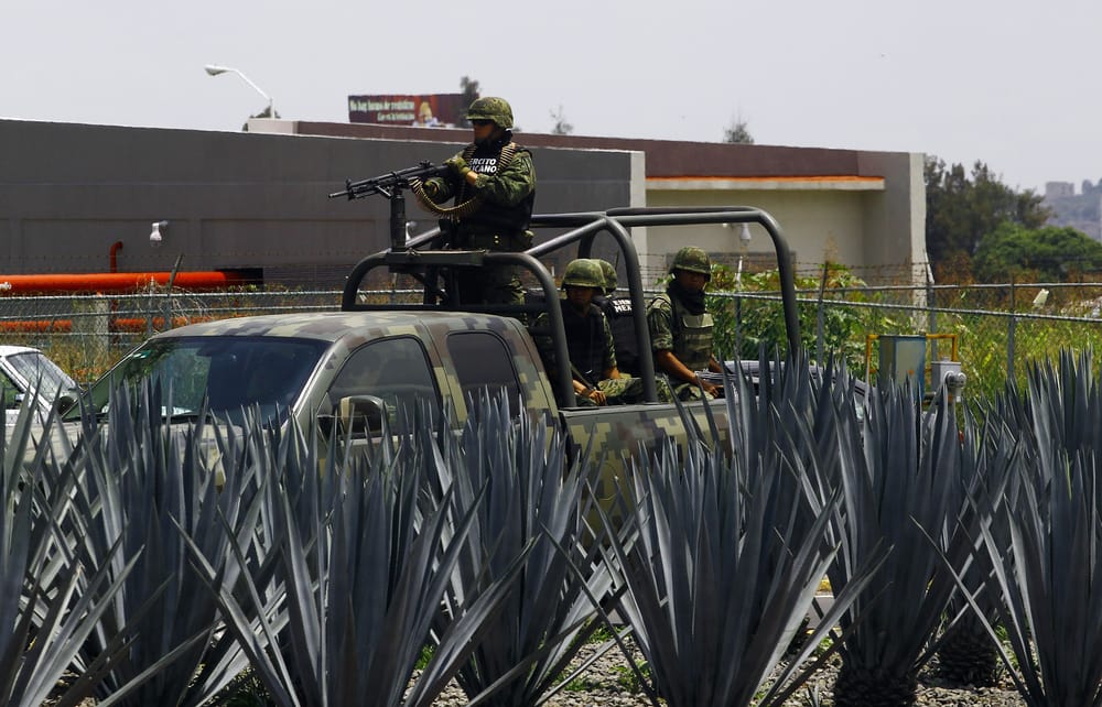 Capture of Zetas leader unlikely to quell violence