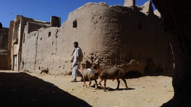 Afghan Taliban execute six in stable Herat