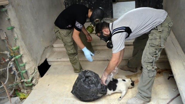 Médecins sans Frontières: Thousands suffering neurotoxic symptoms in Syria