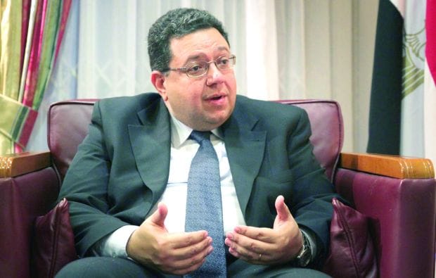 Egypt Deputy PM on Elections, Constitution