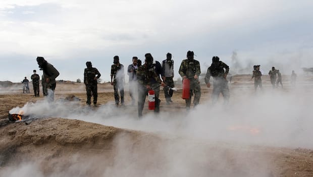 Basij groups to form in Egypt and Jordan, says Iran militia chief