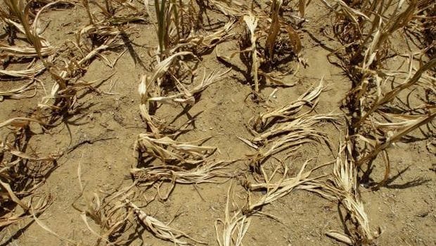 UN warns global warming changes “irreversible”
