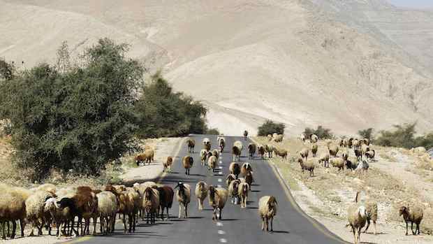 Middle East drought a threat to global food prices
