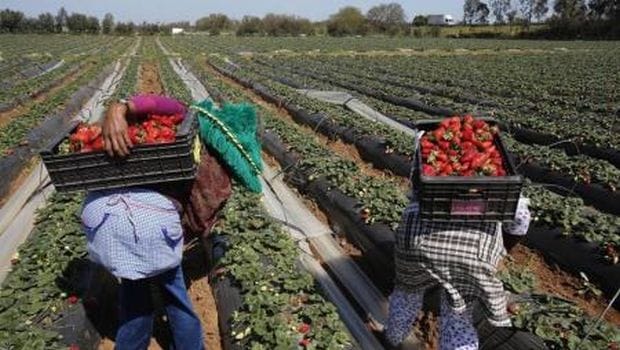 Moroccan agricultural conference discusses country’s “green plan”