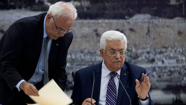 Palestine negotiator: Door to talks with Israel open