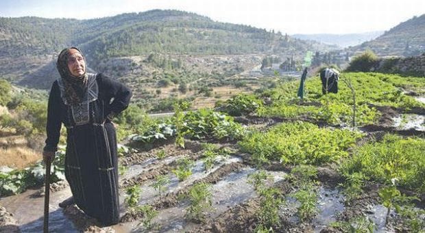 Sites in Iraq, Saudi Arabia, Palestine join UNESCO World Heritage List