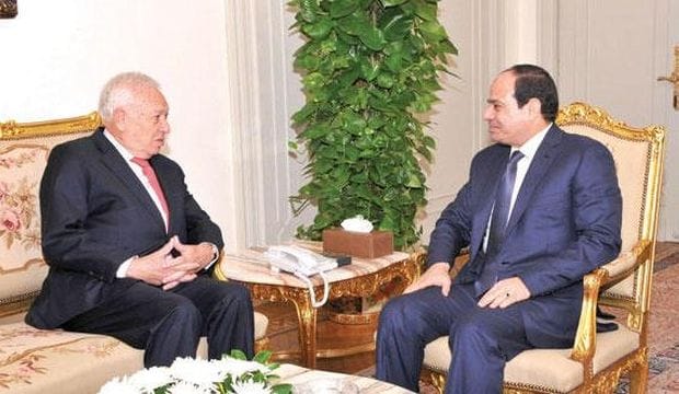 Egyptian parliamentary elections to be held before end of 2014