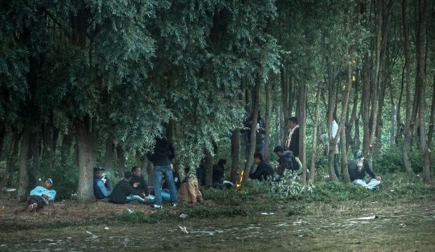 Opinion: Migration to and from Europe