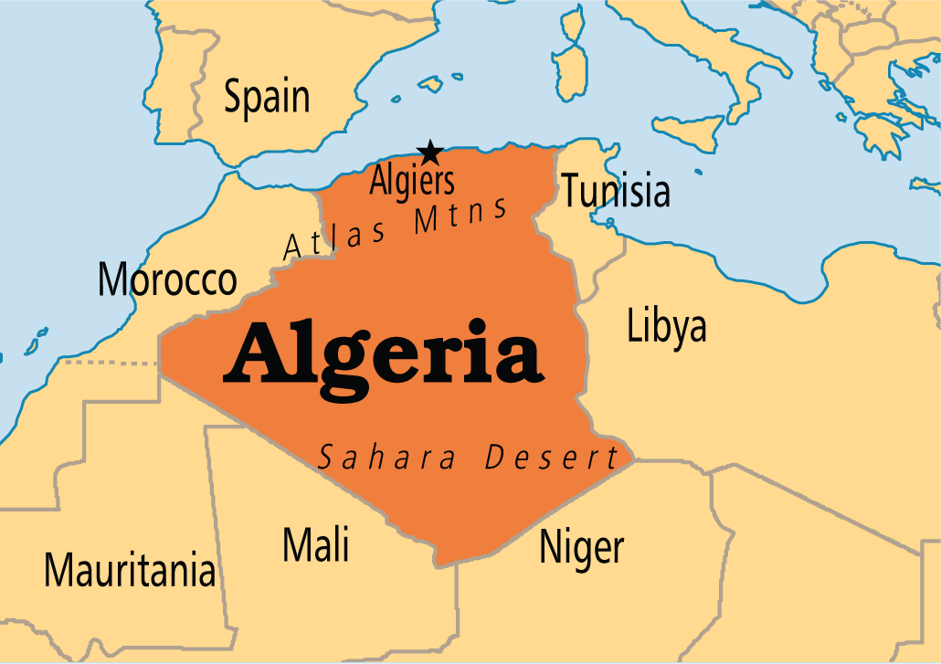 Algerian Government Lays out Draft Constitutional Reforms