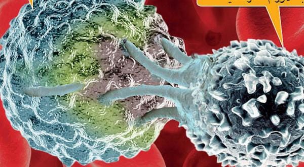Promising Cancer Cure Discovered