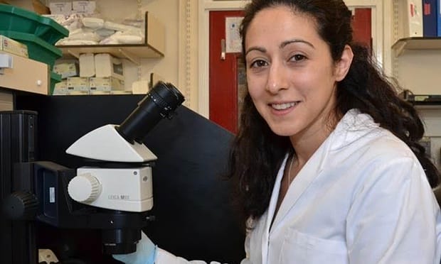 Britain gives scientist the OK to Genetically Modify Human Embryos