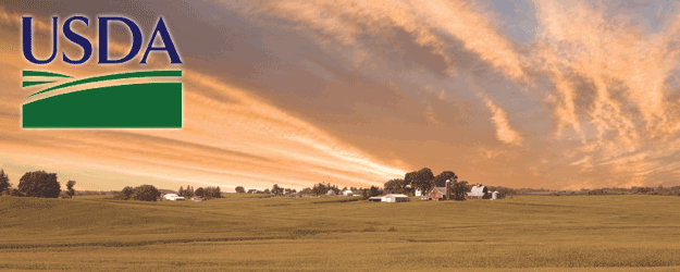 Grains’s Prices Edge up on U.S. weather worries before USDA report