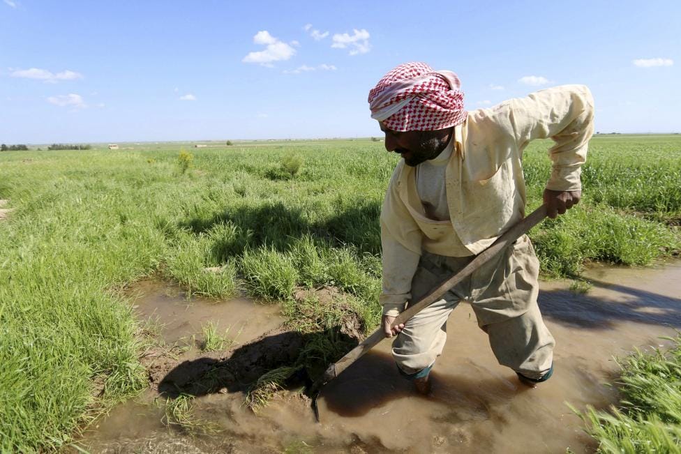 Syrian Food Crisis Aggravates as War Chokes Farming