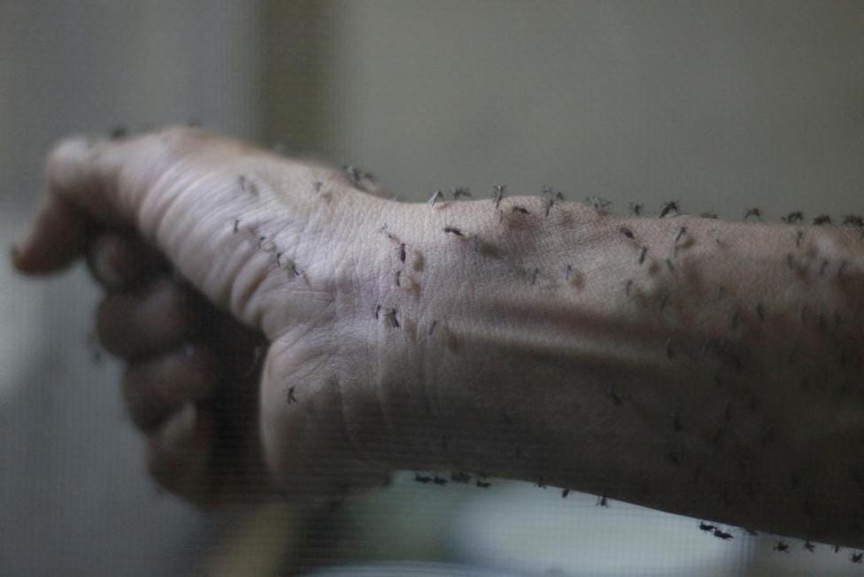 Canada Confirms Its First Sexually Transmitted Zika Case