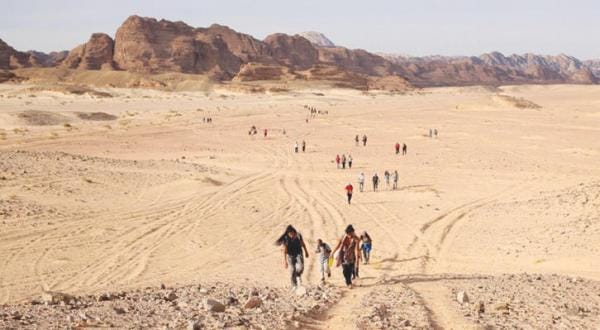 The King Salman Bridge and the Waad Al-Shimal and Tadeen Projects Will Kick-start Development in Sinai