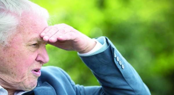 Britain Celebrates the Eminent Attenborough’s 90TH