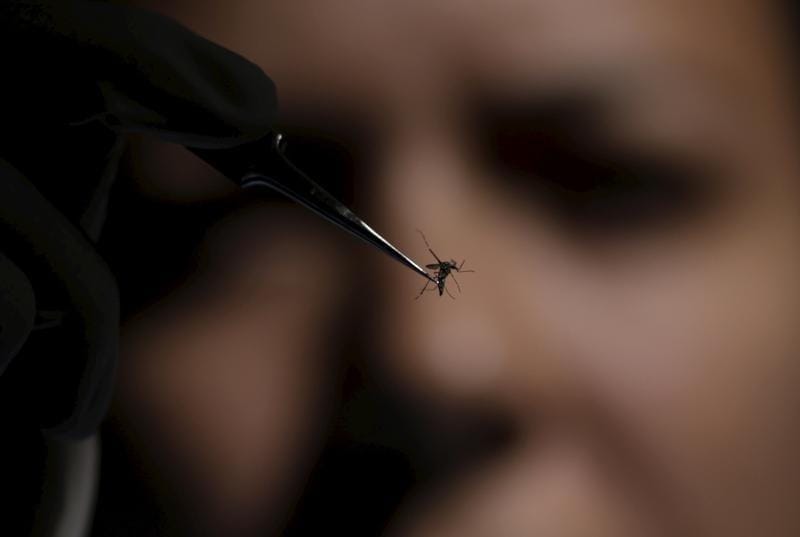 WHO Shuns Call to Shift Olympics Due to Zika