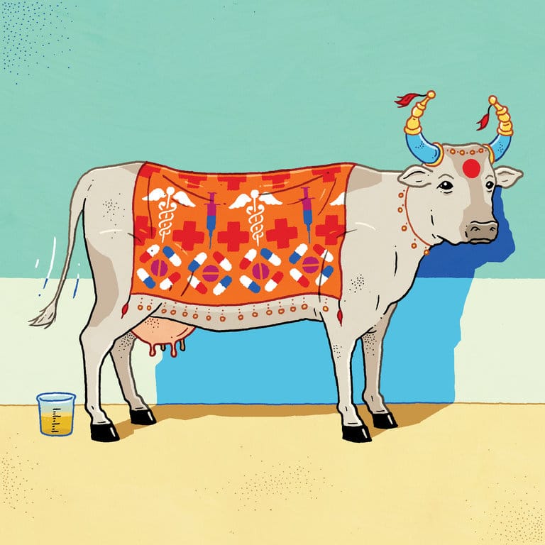 Punjab Government Raises Taxes to Establish Shelters for Stray Cows