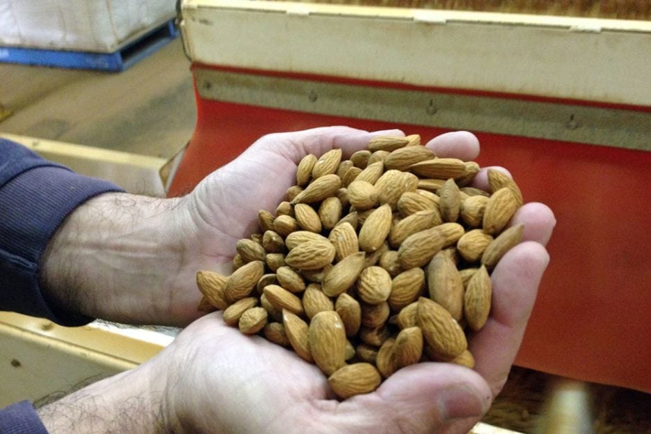 Study: Eating Nuts Slashes Prostate Cancer Death Risk