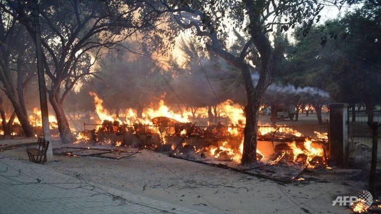 Gunfire Erupts as Police Clash with Squatters in Indian Park, 22 Killed