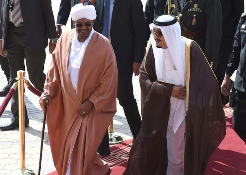 Sudan Passes Law for Saudi Arabia to Cultivate 100 Million Feddans