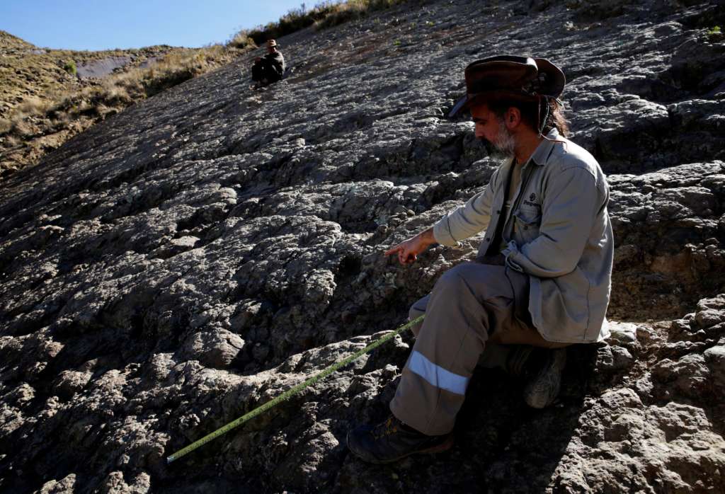 Meter-wide Dinosaur Print Found in Bolivia