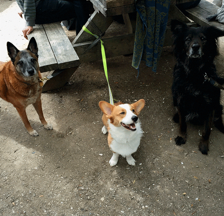 The Art of Managing Smartphone Photos