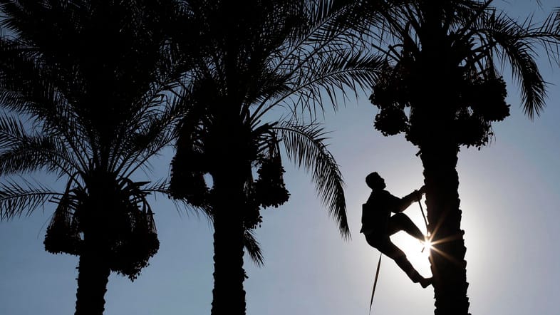 Dutch Technology to Help KSA Reduce Water Consumption