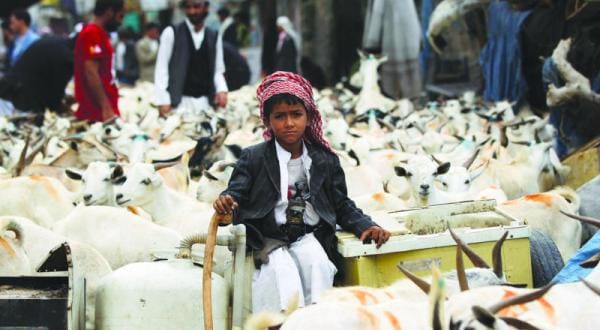 Saudi-Led Arab Coalition Targets Insurgency Locations in Taiz
