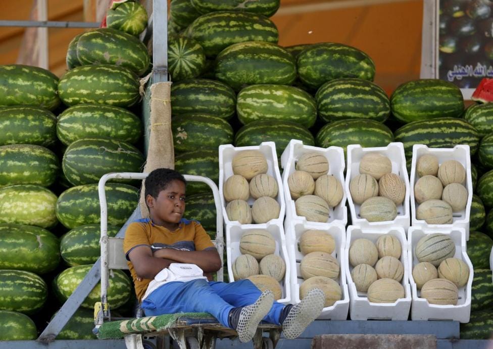 Company to Organize Sale of Agricultural Products in Saudi Arabia