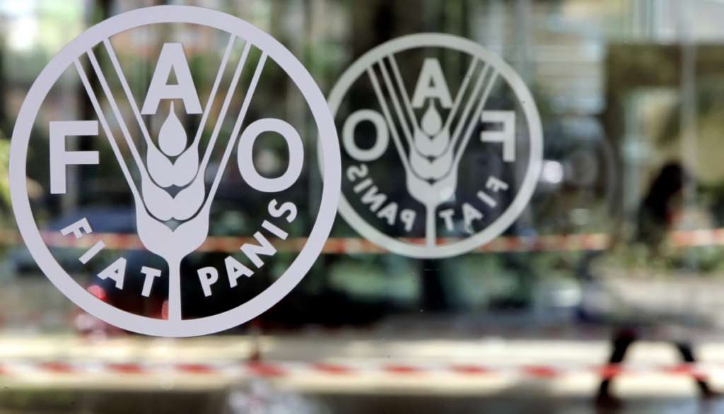 FAO Representative: $100 Billion Allocated to Face Climate Change
