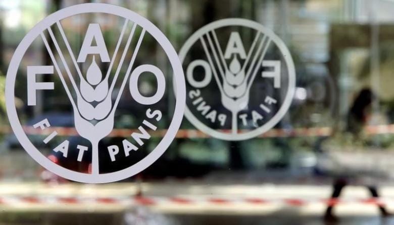 FAO Director: Saudi Arabia Rescued Millions of Souls