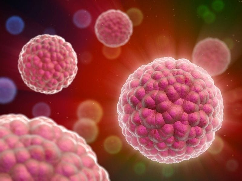 Drug Based on Sea-Bed Bacteria to Cure Prostate Cancer