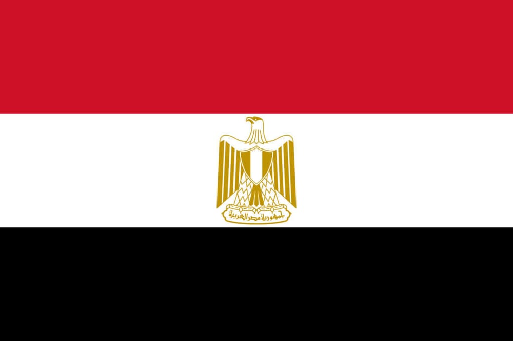 Egypt’s Largest Organ Trafficking Network Busted