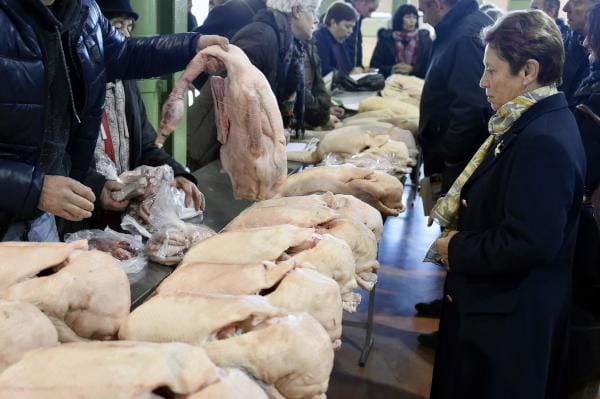 Severe Bird Flu Episode in France Calls on Duck Cull