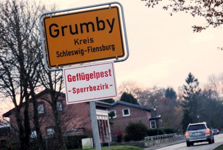 At Least 21,000 Turkeys Slaughtered after Bird Flu Found on German Farm