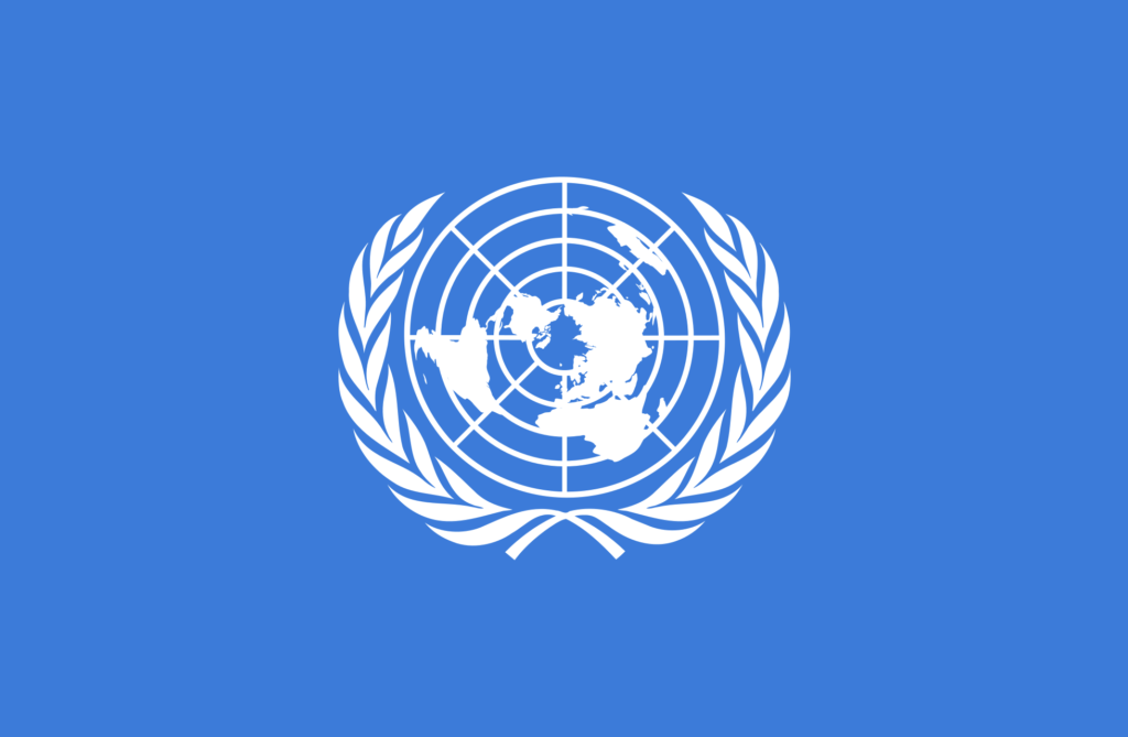 U.N.: ‘Houthi Rebels Plundered 68% of Yemen’s Weapons’