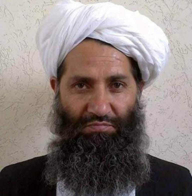 Taliban Encourages Afghans to Plant Trees